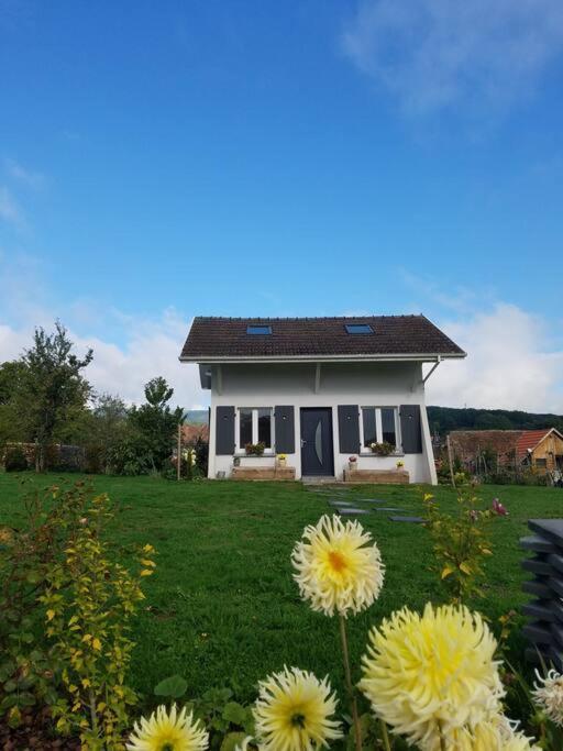 Gite Le Charmot, Au Pied Des Montagnes Classe 3* Roderen Exterior photo