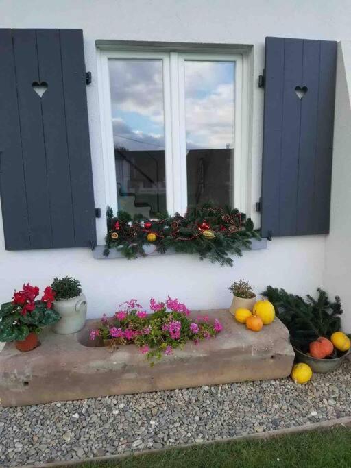 Gite Le Charmot, Au Pied Des Montagnes Classe 3* Roderen Exterior photo
